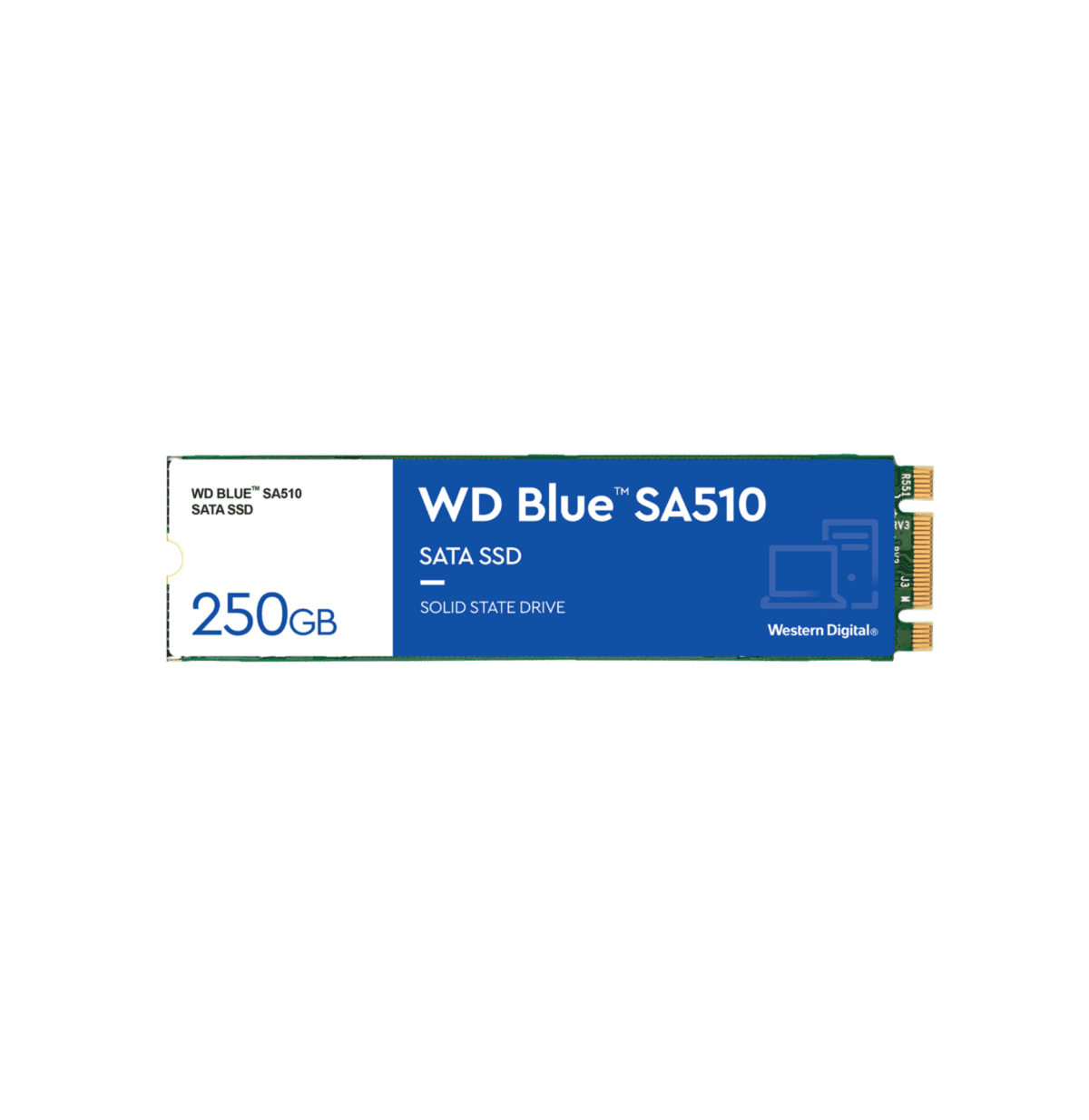 Western Digital Disque SSD interne Blue SA510 SATA III 6 Gb/s 250 Go (WDS250G3B0B)